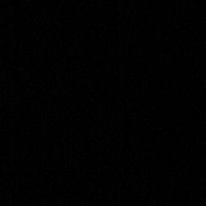 Meet your Posher, Lily